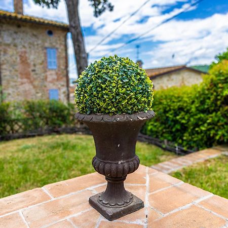 Un Petit Paradis Castiglione della Valle Buitenkant foto