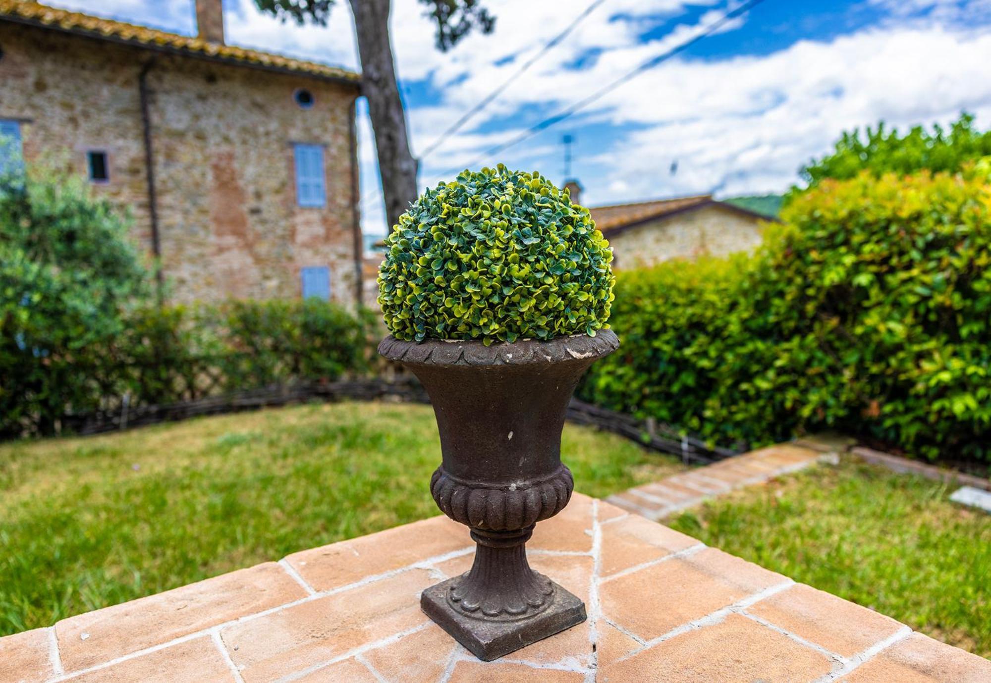 Un Petit Paradis Castiglione della Valle Buitenkant foto