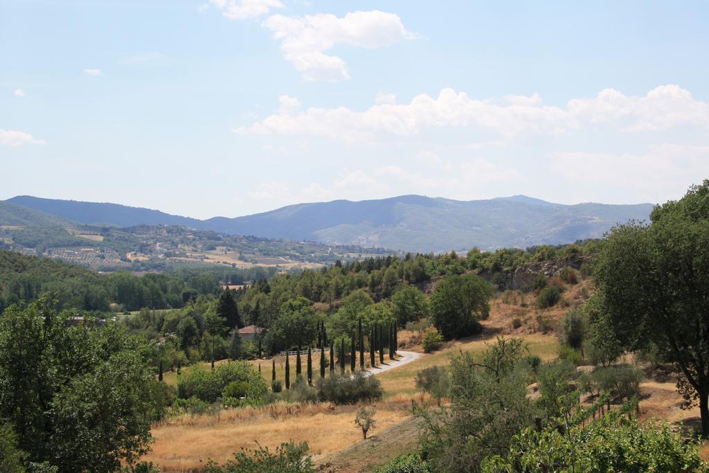 Un Petit Paradis Castiglione della Valle Buitenkant foto
