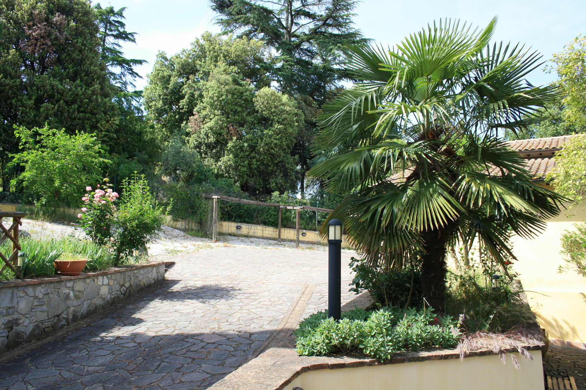 Un Petit Paradis Castiglione della Valle Buitenkant foto